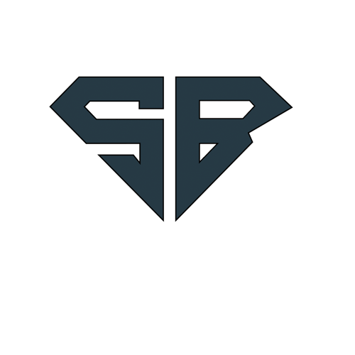 S.B. Service | Assistenza e Ricambi Wagner Brescia